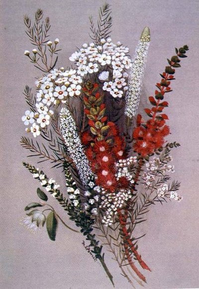 Unknown Image by Lady Margaret Forest
